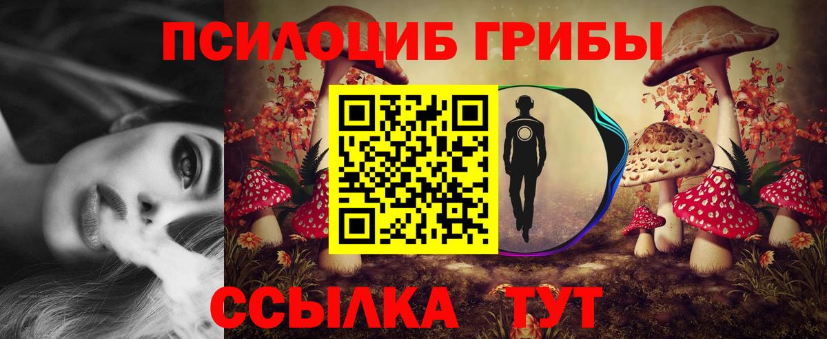 Псилоцибиновые грибы Psilocybe  Вход с VPN  Минусинск 