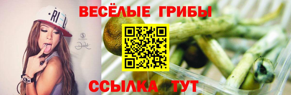 Галлюциногенные грибы MAGIC MUSHROOMS Минусинск
